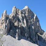 La pea olvidada (foto F. Ceragioli)